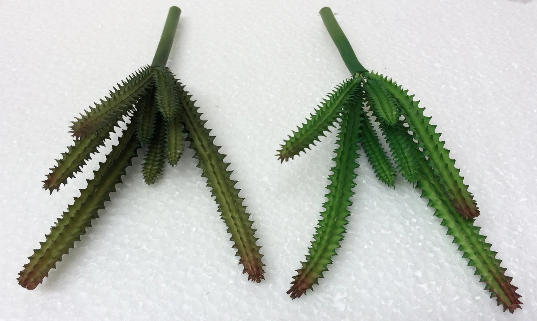 Rubber bonsai Cactus Stiff
